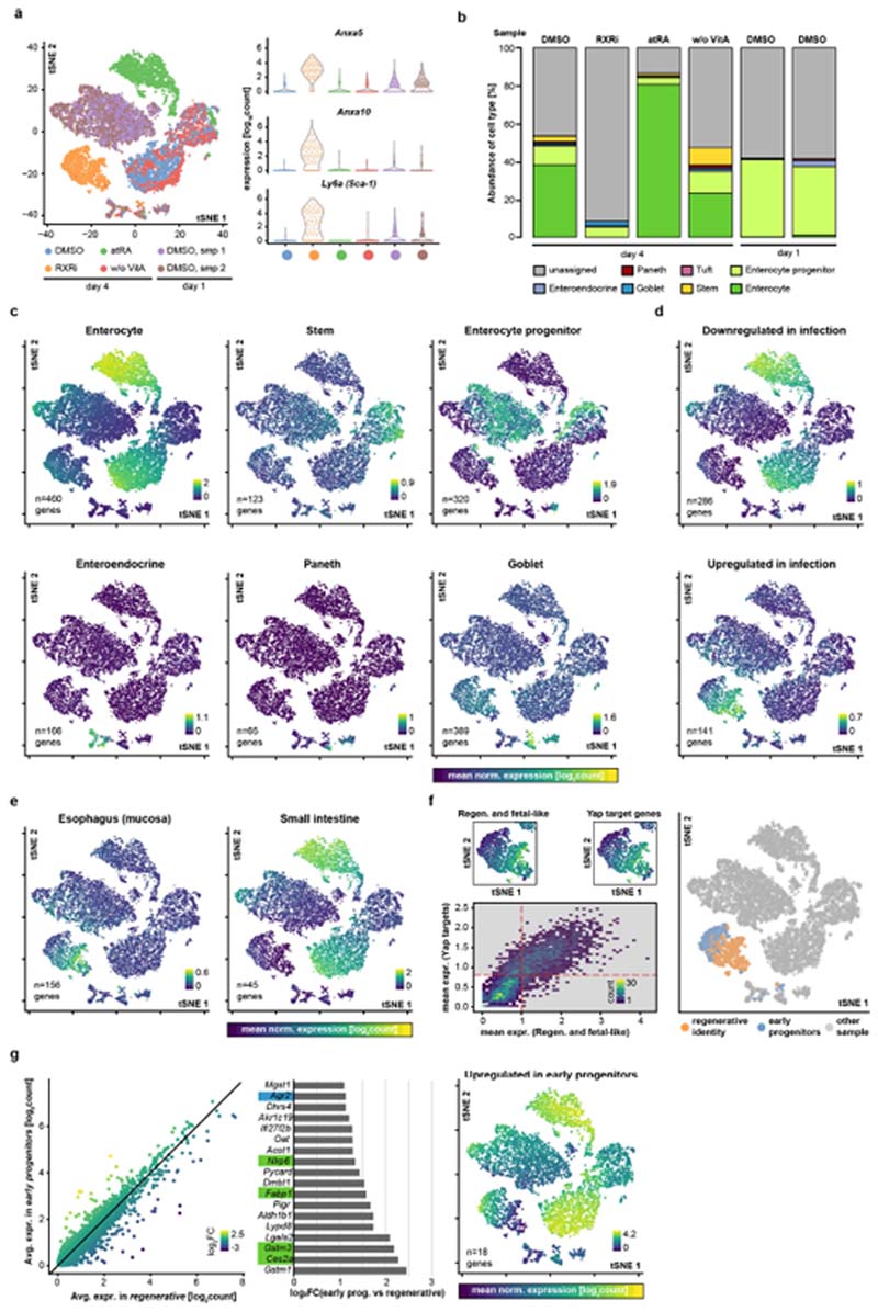 Extended Data Fig. 9