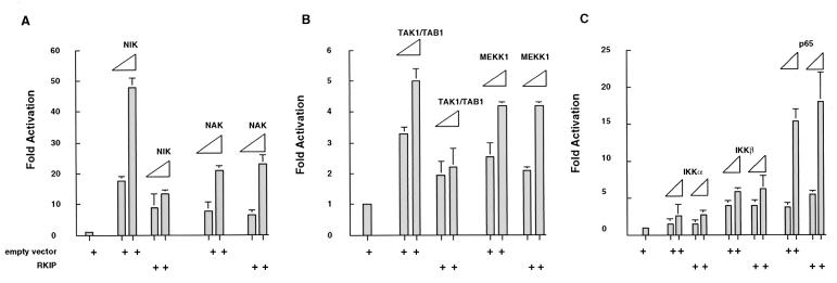 FIG. 4