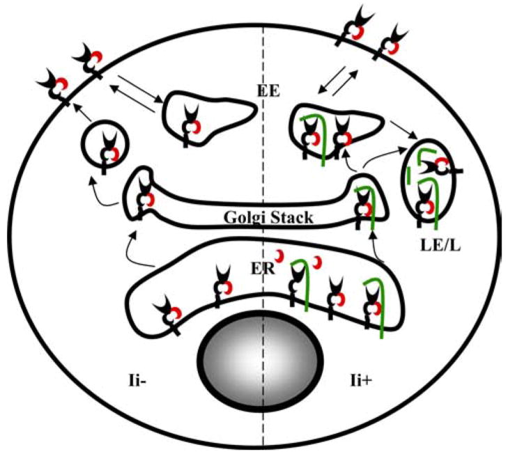 FIGURE 11