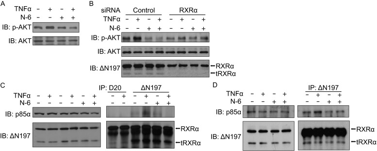 Figure 5