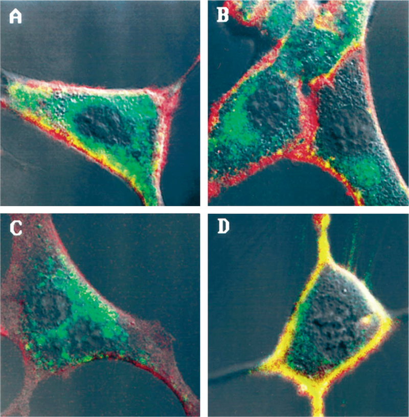 FIG. 4.