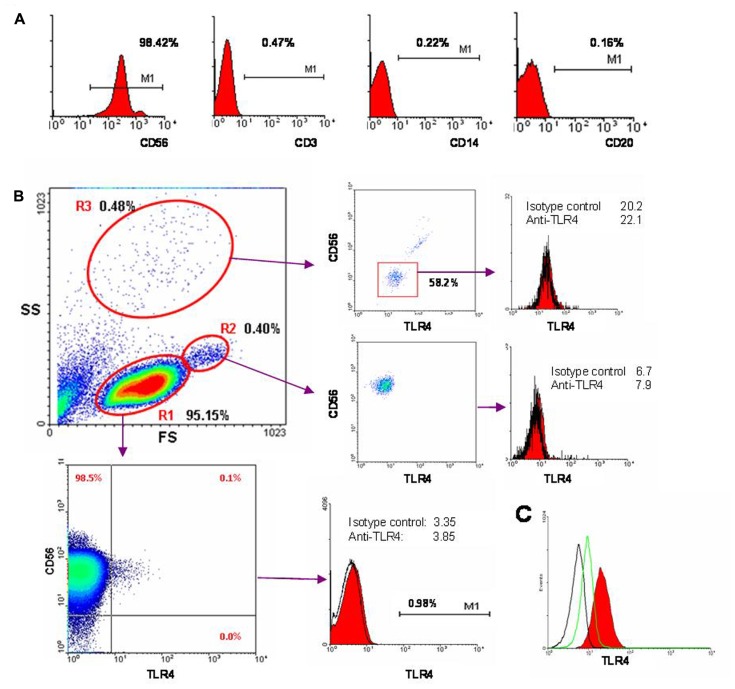 FIGURE 2