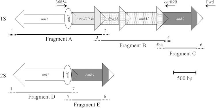 FIG 1