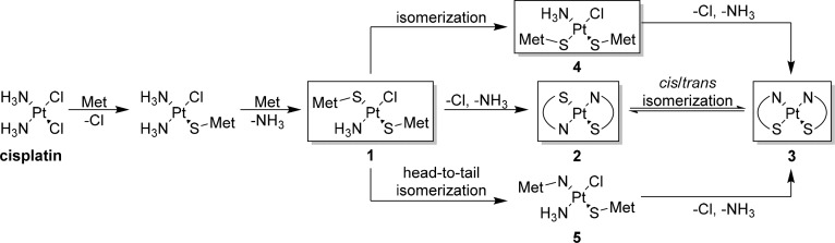 Scheme 4