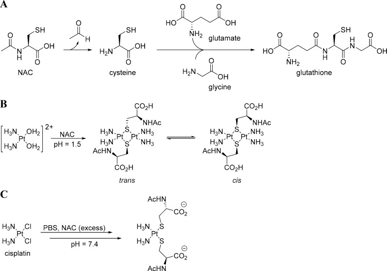 Scheme 2