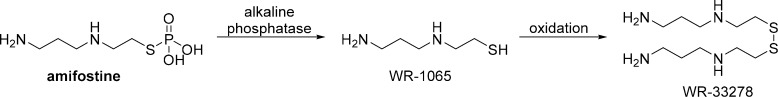 Scheme 5