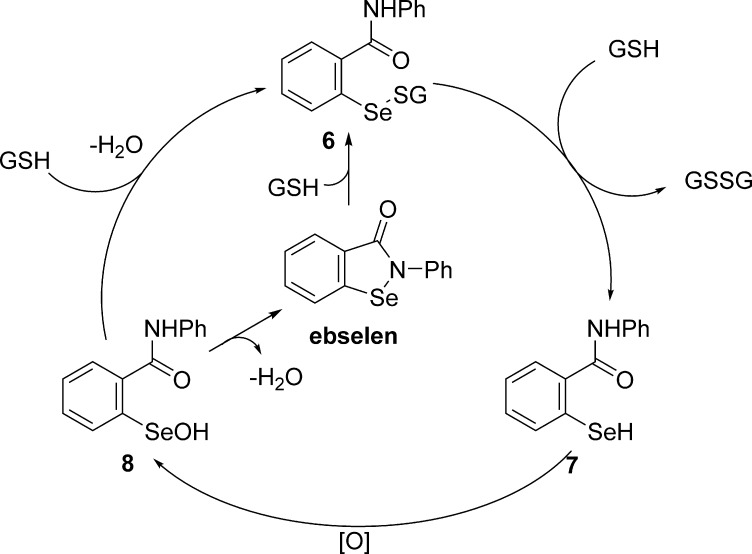 Scheme 6