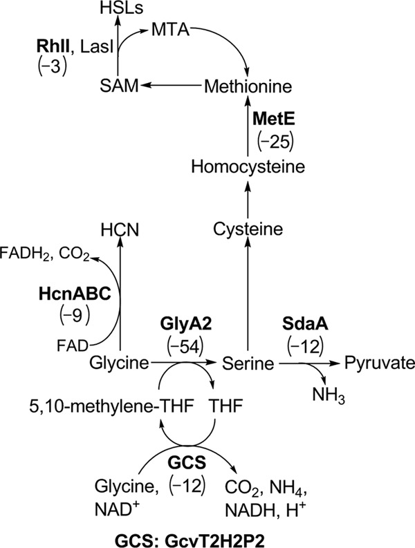 Fig 6