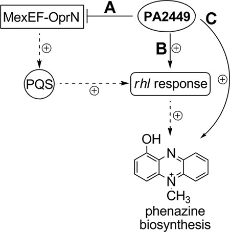 Fig 9