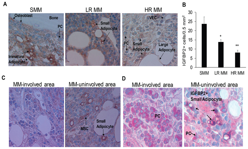 Fig 4.