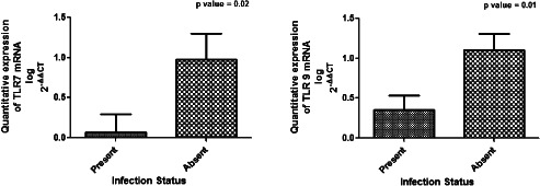 IWJ-12411-FIG-0004-b