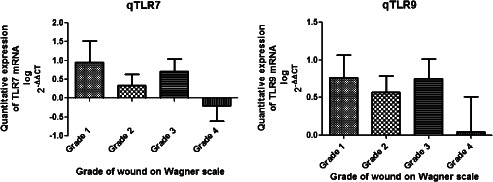 IWJ-12411-FIG-0002-b