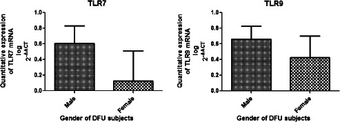 IWJ-12411-FIG-0003-b