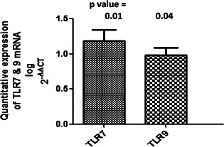 IWJ-12411-FIG-0001-b