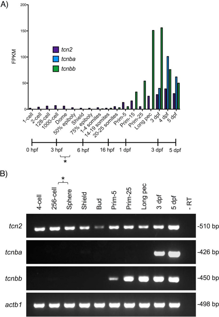 Figure 3.