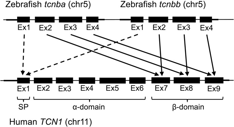 Figure 1.