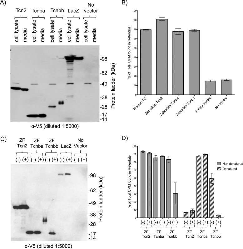 Figure 6.