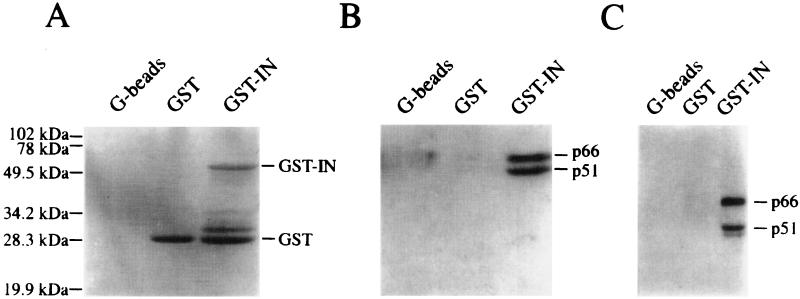 FIG. 6