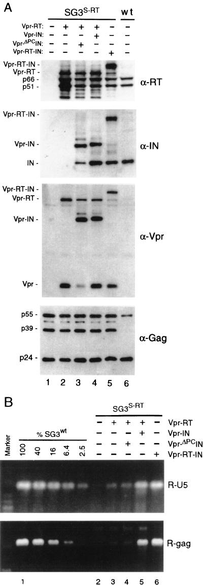 FIG. 3