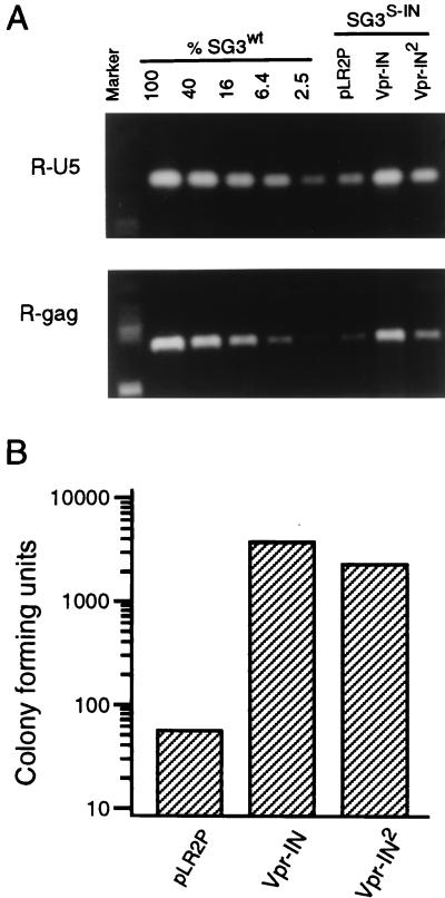 FIG. 5