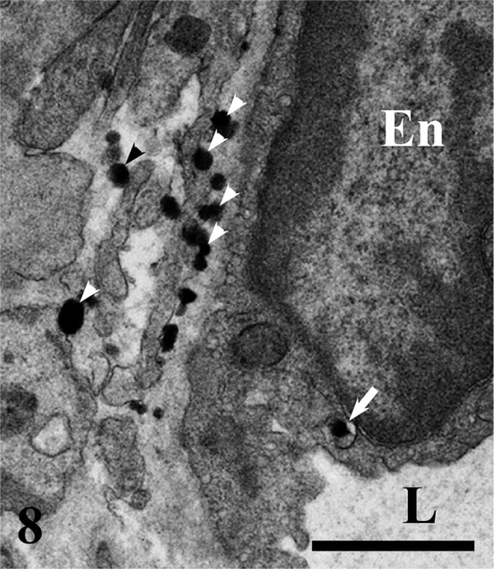 Fig. 8.