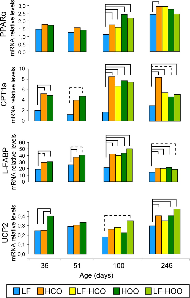 Fig. 3