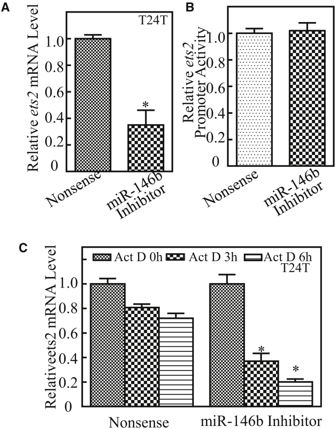 Figure 5