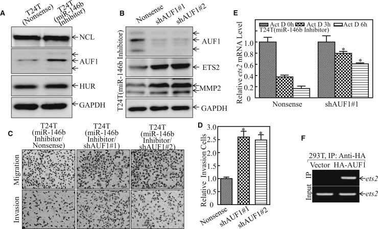 Figure 6