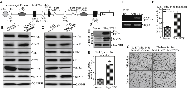 Figure 4