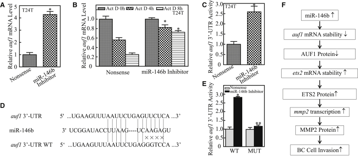 Figure 7