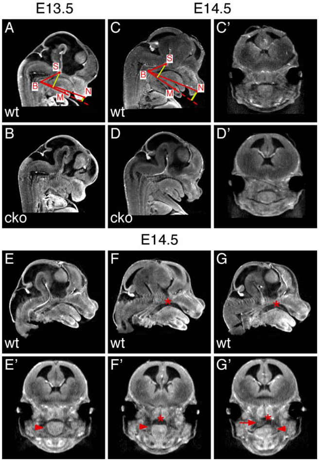 Figure 10.