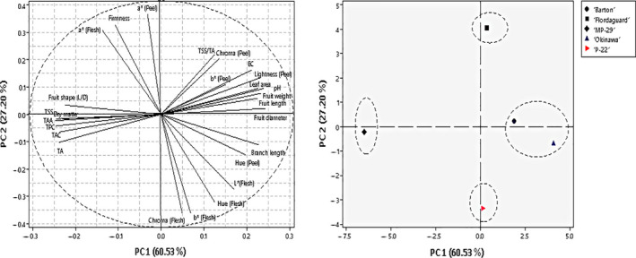 FIGURE 3