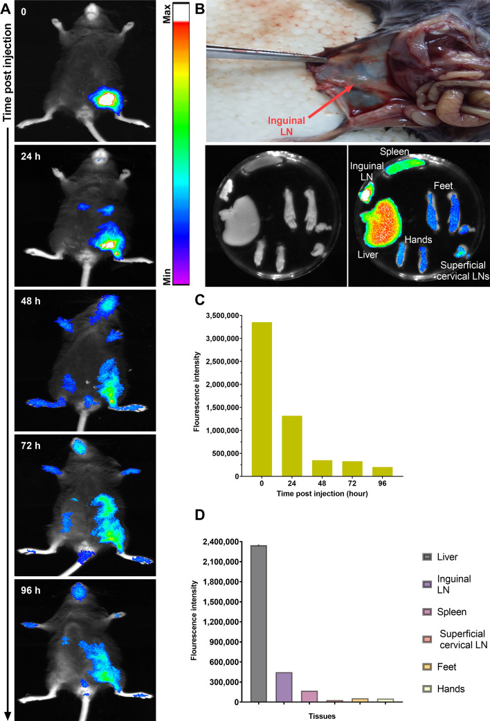 Fig. 2
