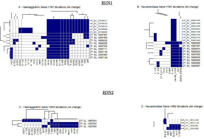 Figure 4: