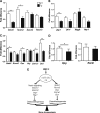 Figure 4.