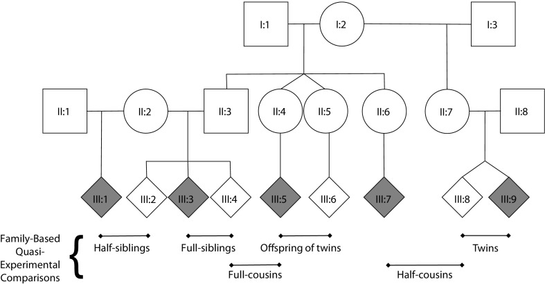 FIGURE 1—