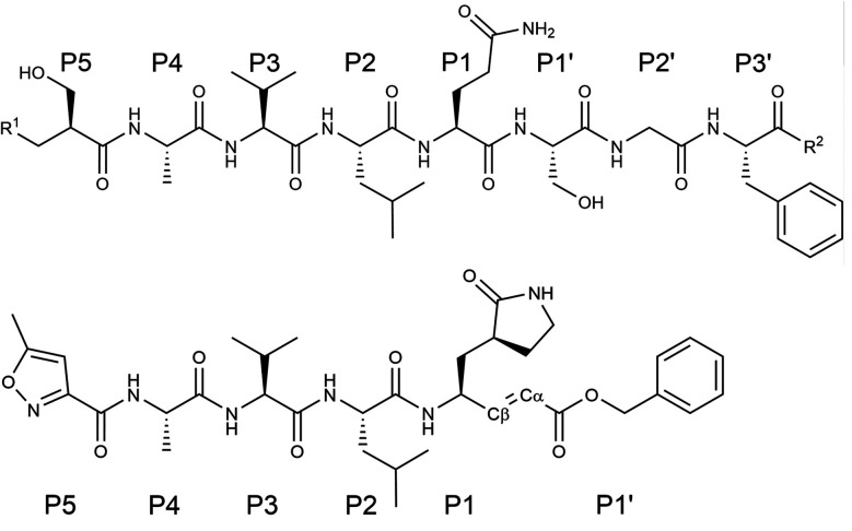 Fig. 1