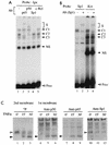 FIG. 1