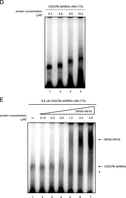 FIG. 8.