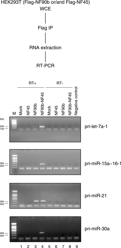 FIG. 7.