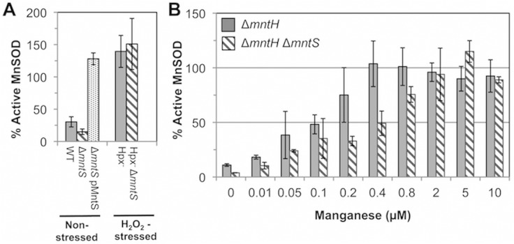 Fig 2