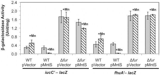 Fig 6