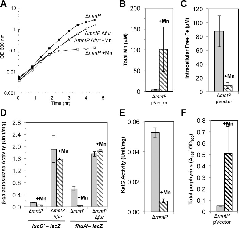 Fig 10