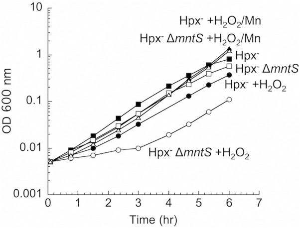 Fig 1