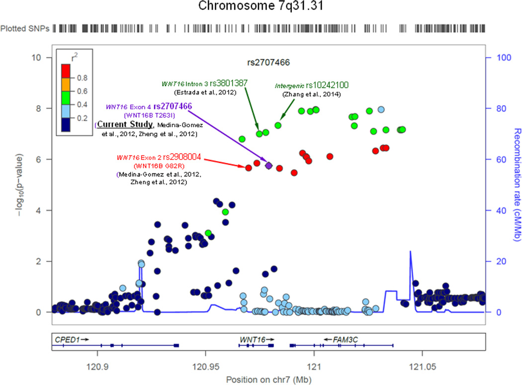 FIGURE 3