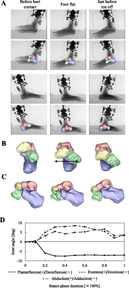 Fig. 3