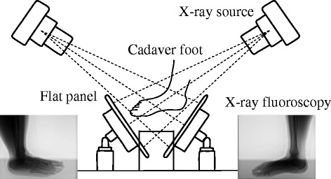 Fig. 1