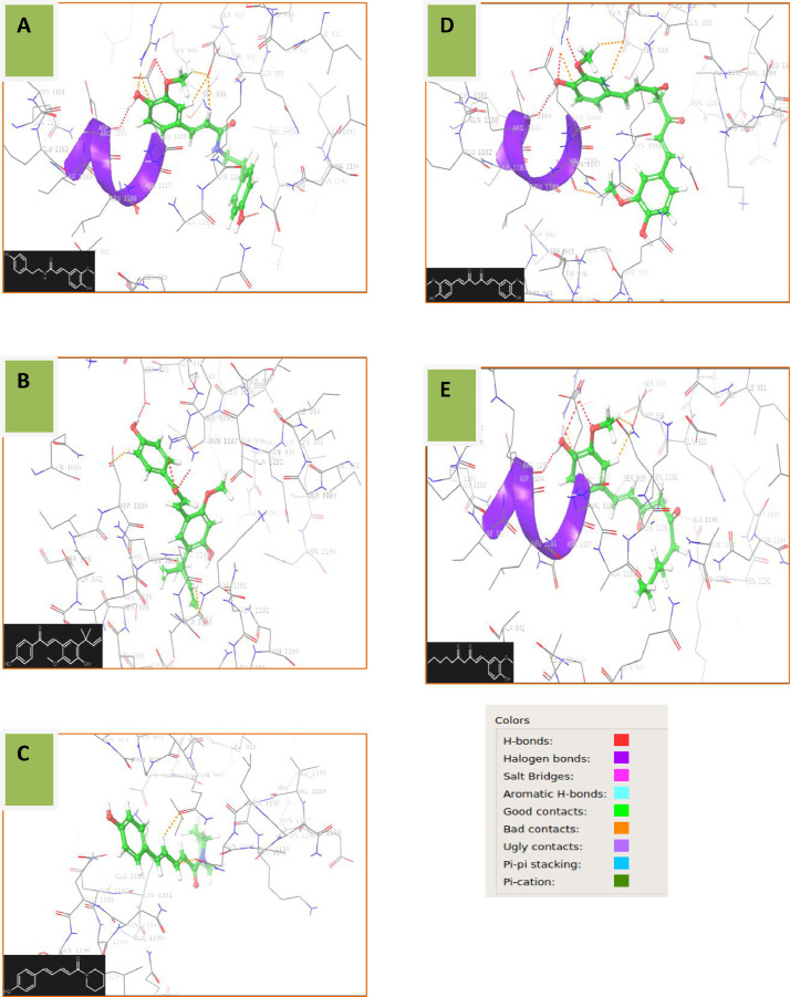 Fig 2: