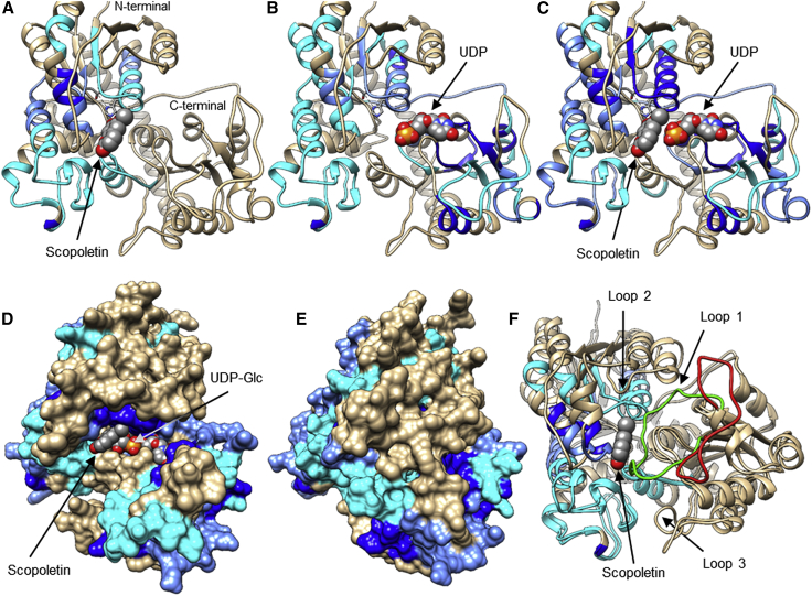 Figure 4