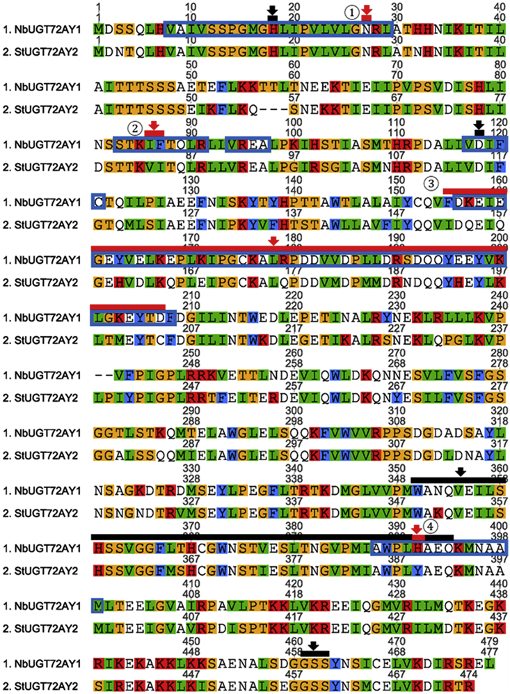 Figure 2